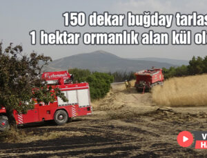 150 Dekar Buğday Tarlası Ve 1 Hektar Ormanlık Alan Kül Oldu