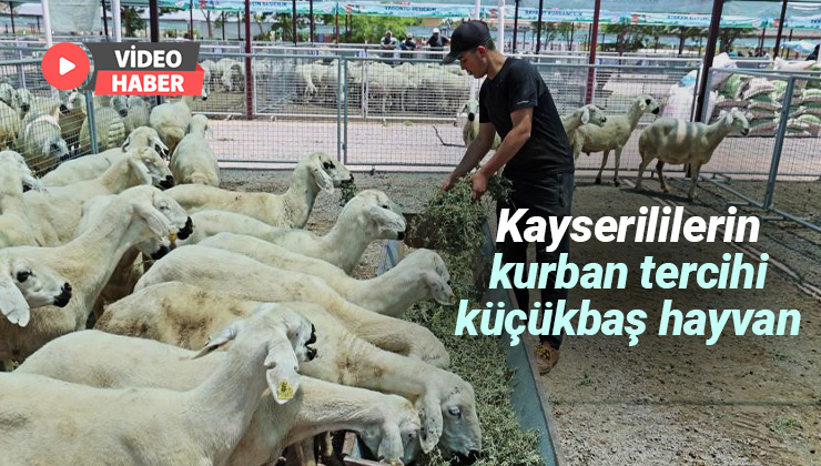 Kayserililerin Kurban Tercihi Küçükbaş Hayvan Oldu