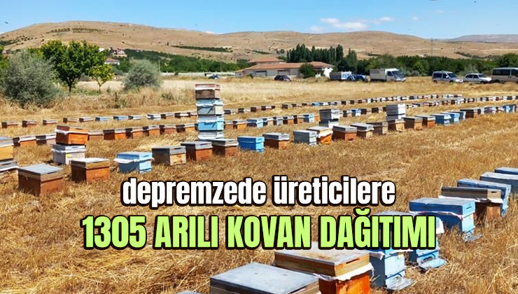 Depremzede Üreticilere 1305 Arılı Kovan Dağıtıldı