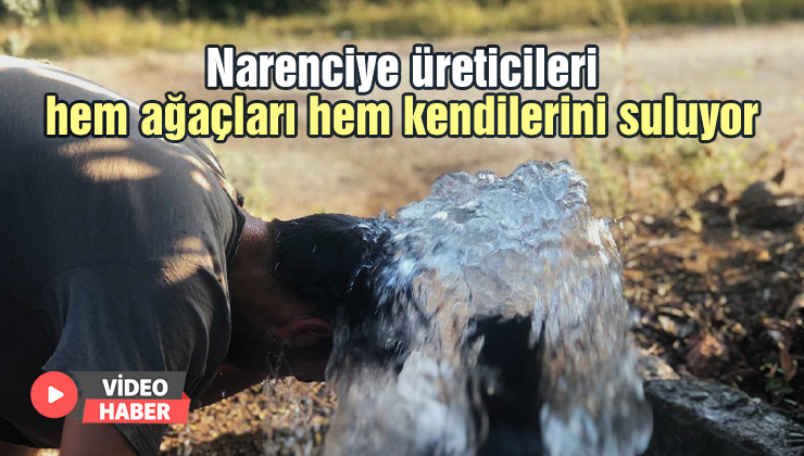 Narenciye Üreticileri Sıcakta Hem Ağaçları Hem Kendilerini Suluyor