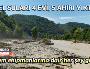 Sel Suları 4 Evi, 5 Ahırı Yıktı