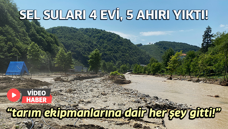 Sel Suları 4 Evi, 5 Ahırı Yıktı