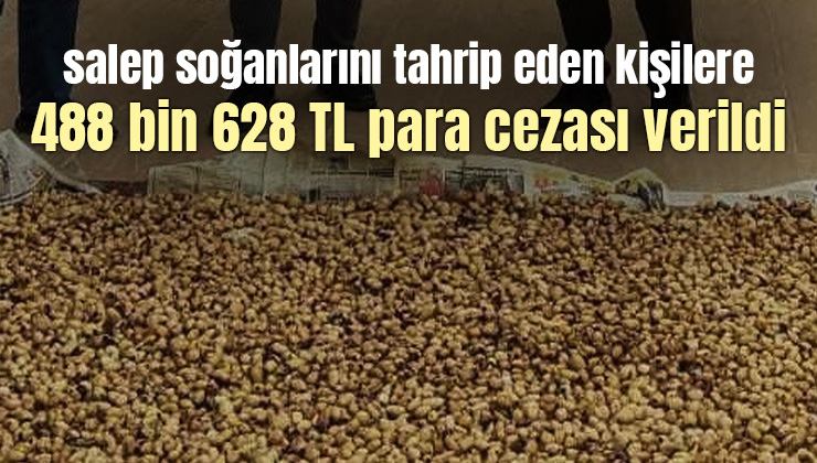 Salep Soğanlarını Tahrip Eden Kişilere 488 Bin 628 Tl Para Cezası Verildi