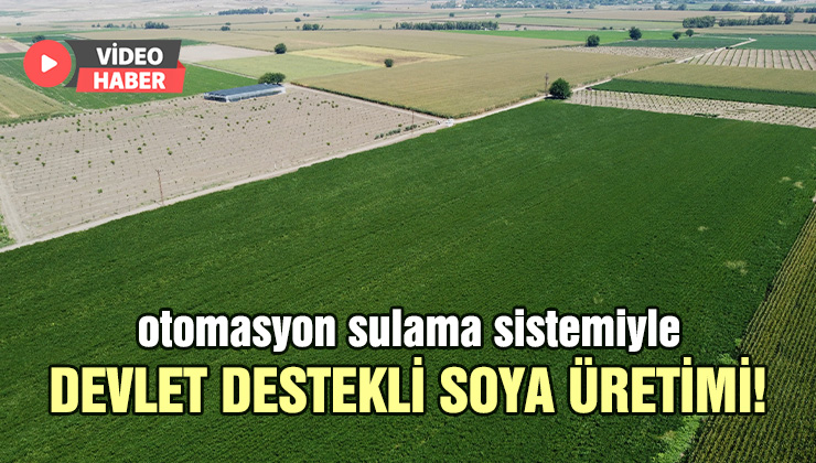 Otomasyon Sulama Sistemiyle Devlet Destekli Soya Üretimi