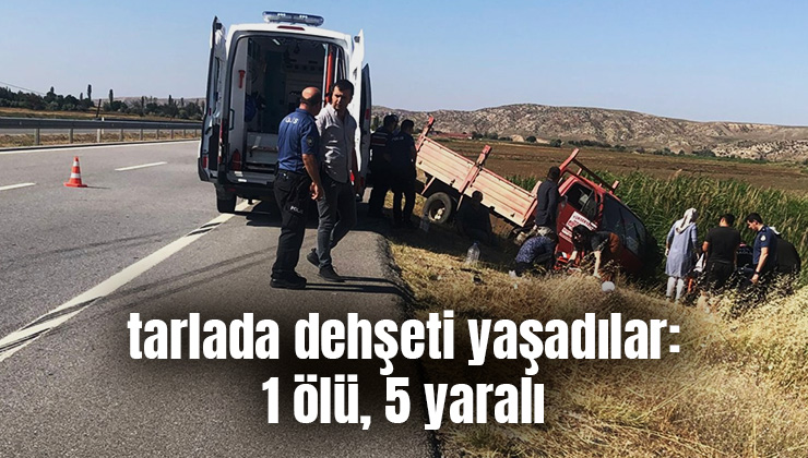 Tarlada Dehşeti Yaşadılar: 1 Ölü, 5 Yaralı