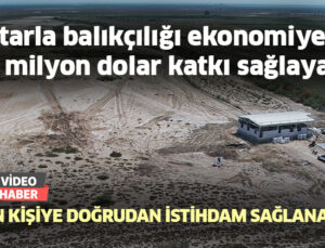 Tarla Balıkçılığı Ekonomiye 450 Milyon Dolar Katkı Sağlayacak