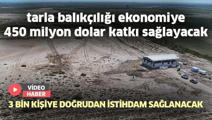 Tarla Balıkçılığı Ekonomiye 450 Milyon Dolar Katkı Sağlayacak