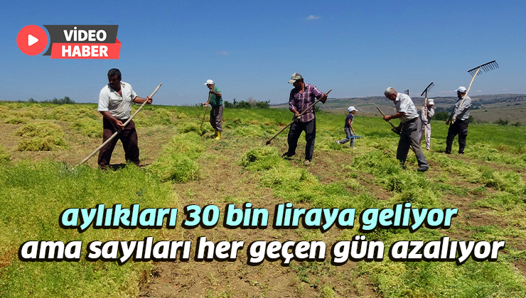 Aylıkları 30 Bin Liraya Geliyor Ancak Sayıları Her Geçen Gün Azalıyor