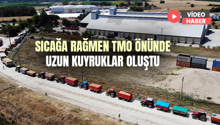 Sıcağa Rağmen Tmo Önünde Uzun Kuyruklar Oluştu