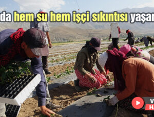 Burada Hem Su Hem Işçi Sıkıntısı Yaşanıyor