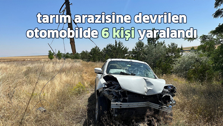 Tarım Arazisine Devrilen Otomobilde 6 Kişi Yaralandı