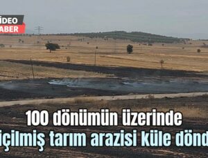 100 Dönümün Üzerinde Biçilmiş Tarım Arazisi Küle Döndü