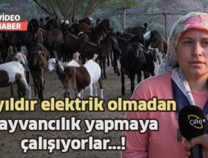 15 Yıldır Elektriksiz Bir Şekilde Hayvancılık Yapmaya Çalışıyorlar!