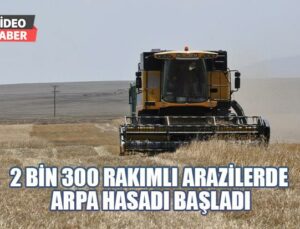 2 Bin 300 Rakımlı Arazilerde Arpa Hasadı Başladı