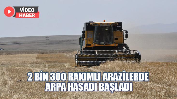 2 Bin 300 Rakımlı Arazilerde Arpa Hasadı Başladı