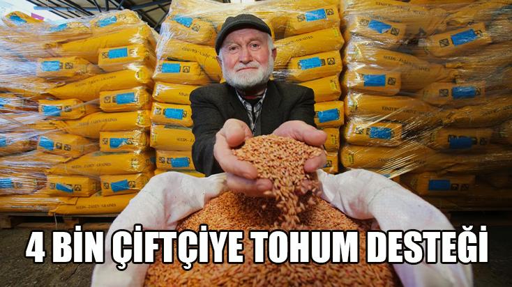 4 bin çiftçiye tohum desteği