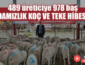 489 Üreticiye 978 Adet Damızlık Koç Ve Teke Hibe Edildi