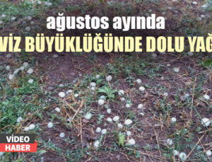 Ağustos Ayında Ceviz Büyüklüğünde Dolu Yağdı