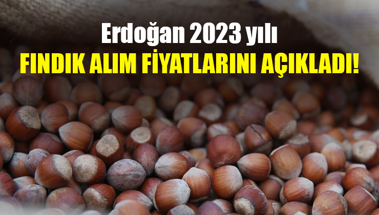 Erdoğan 2023 Yılı Fındık Alım Fiyatlarını Açıkladı