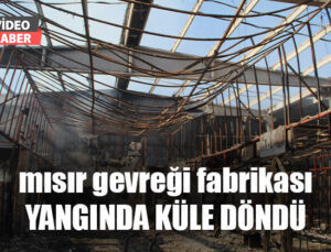 Mısır Gevreği Fabrikası Yangında Küle Döndü