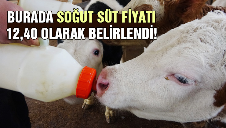 Denizli’de Soğut Süt Fiyatı 12,40 Olarak Belirlendi