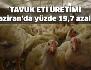 Tavuk Eti Üretimi Haziran’da Yüzde 19,7 Azaldı