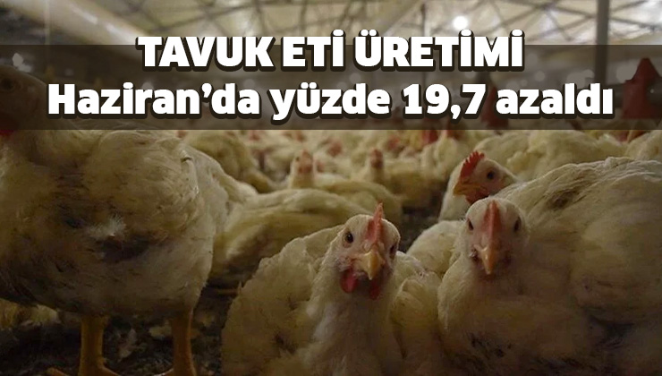 Tavuk Eti Üretimi Haziran’da Yüzde 19,7 Azaldı