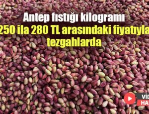 Antep Fıstığı Kilogramı 250 Ila 280 Tl Arasındaki Fiyatıyla Tezgahlarda