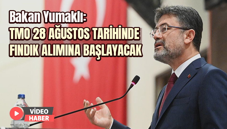 Bakan Yumaklı “Tmo 28 Ağustos Tarihinde Fındık Alımına Başlayacak”