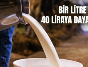 Bir Litre Süt 40 Liraya Dayandı