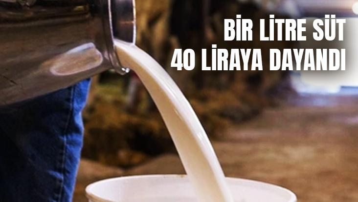 Bir Litre Süt 40 Liraya Dayandı