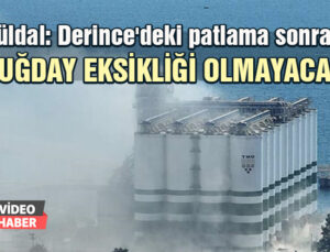 Güldal: Derince’Deki Patlama Sonrası Buğday Eksikliği Olmayacak