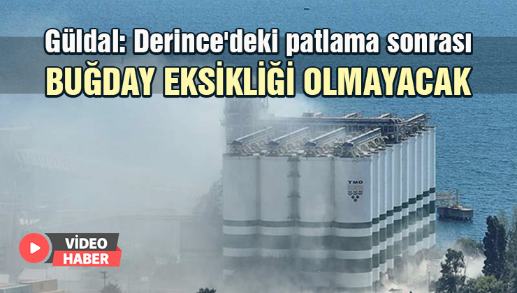 Güldal: Derince’Deki Patlama Sonrası Buğday Eksikliği Olmayacak