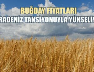 Buğday Fiyatları Karadeniz Tansiyonuyla Yükseliyor