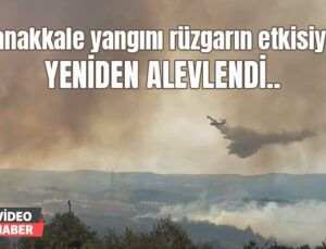 Çanakkale Yangını Rüzgarın Etkisiyle Yeniden Alevlendi…