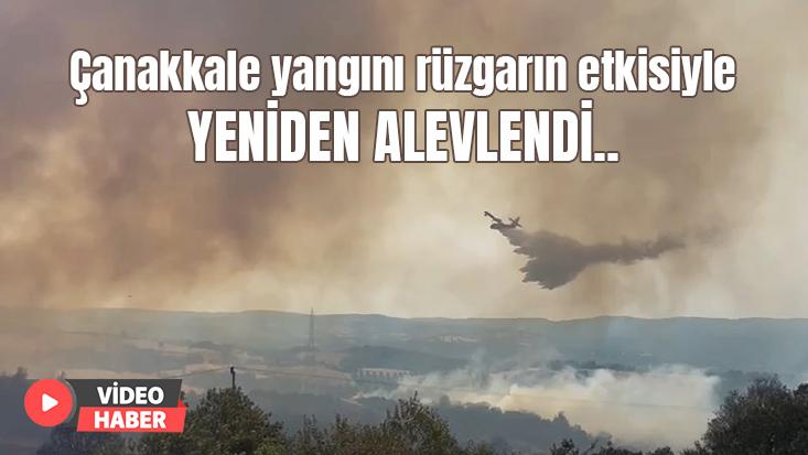 Çanakkale Yangını Rüzgarın Etkisiyle Yeniden Alevlendi…