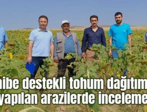 Hibe Destekli Tohum Dağıtımı Yapılan Arazilerde Inceleme