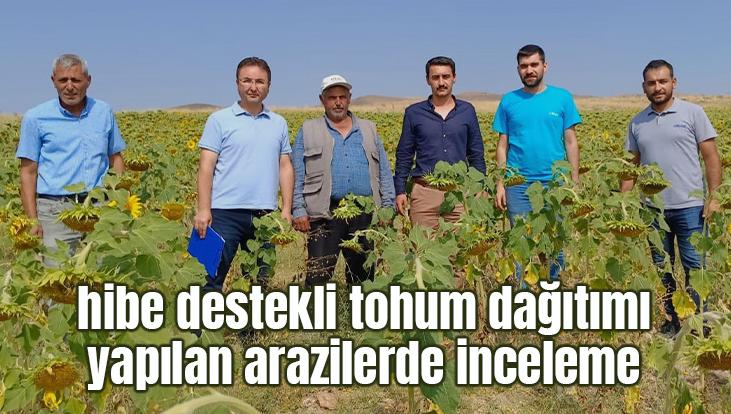 Hibe Destekli Tohum Dağıtımı Yapılan Arazilerde Inceleme