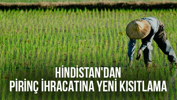 Hindistan’Dan Pirinç Ihracatına Yeni Kısıtlama