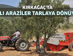 Kırkağaç’ta Taşlı Araziler Tarlaya Dönüyor