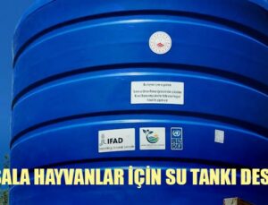 Kırsala Hayvanlar Için Su Tankı Desteği