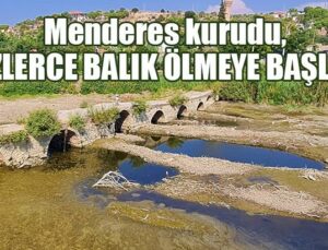 Menderes Kurudu, Yüzlerce Balık Ölmeye Başladı