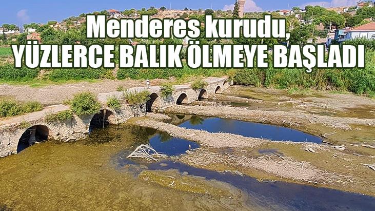 Menderes Kurudu, Yüzlerce Balık Ölmeye Başladı