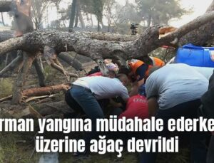 Orman Yangına Müdahale Ederken Üzerine Ağaç Devrildi
