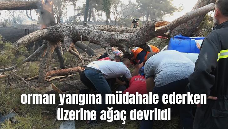 Orman Yangına Müdahale Ederken Üzerine Ağaç Devrildi