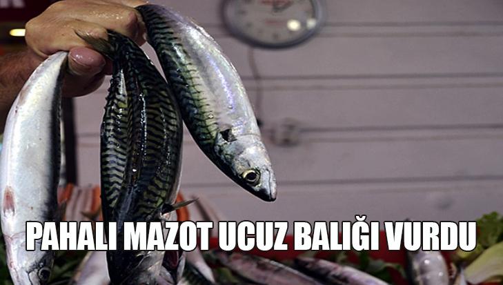 Pahalı Mazot Ucuz Balığı Vurdu