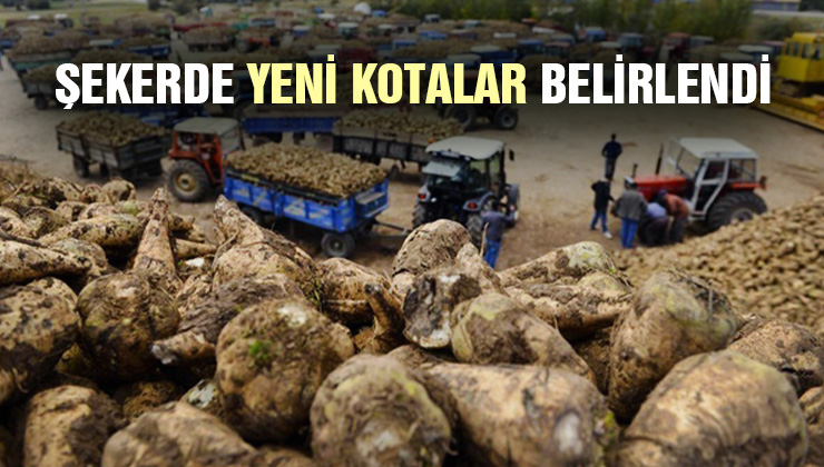 Şekerde Yeni Kotalar Belirlendi