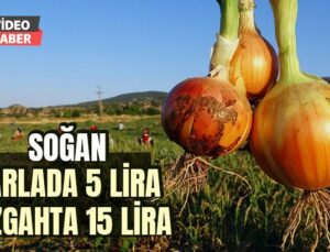 Soğan Tarlada 5, Tezgahta 15 Lira