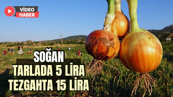 Soğan Tarlada 5, Tezgahta 15 Lira