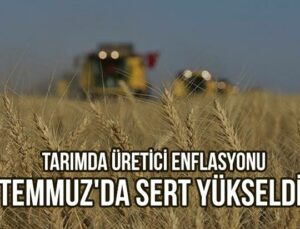 Tarım-Üfe, Temmuz’Da Aylık Bazda Yüzde 8,03 Artarken, Yıllık Bazda Yüzde 62,48 Yükseldi.